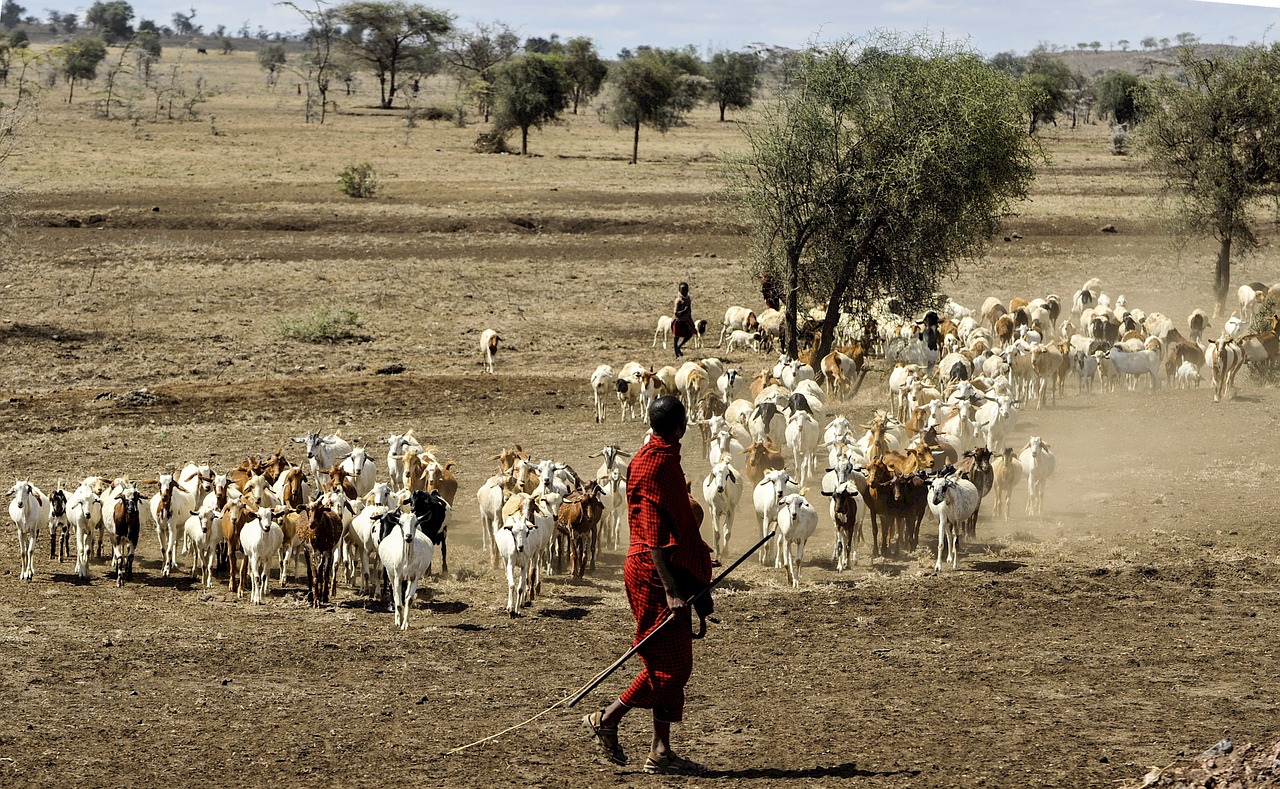 Top Wildlife Reserves in Africa for a Picture-Perfect Holiday