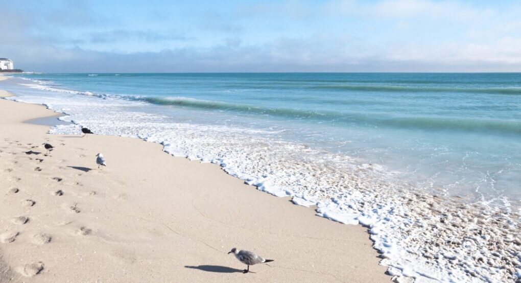 Best Beaches on the Gulf Coast of Florida: The Ultimate Top 10 List